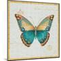 Bohemian Wings Butterfly VIA-Daphne Brissonnet-Mounted Art Print