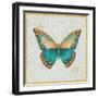 Bohemian Wings Butterfly VIA-Daphne Brissonnet-Framed Art Print