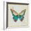 Bohemian Wings Butterfly VIA-Daphne Brissonnet-Framed Art Print