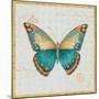 Bohemian Wings Butterfly VIA-Daphne Brissonnet-Mounted Art Print