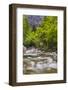 Bohinj River in the Bohinj Basin, Triglav National Park, Julian Alps, Slovenia, Europe-Matthew Williams-Ellis-Framed Photographic Print