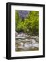 Bohinj River in the Bohinj Basin, Triglav National Park, Julian Alps, Slovenia, Europe-Matthew Williams-Ellis-Framed Photographic Print