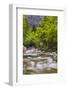 Bohinj River in the Bohinj Basin, Triglav National Park, Julian Alps, Slovenia, Europe-Matthew Williams-Ellis-Framed Photographic Print