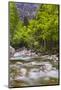 Bohinj River in the Bohinj Basin, Triglav National Park, Julian Alps, Slovenia, Europe-Matthew Williams-Ellis-Mounted Photographic Print