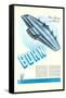 Bohn Flying Wing-null-Framed Stretched Canvas