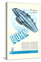 Bohn Flying Wing-null-Stretched Canvas
