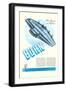 Bohn Flying Wing-null-Framed Art Print