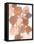 Boho Beautiful II Brown-Moira Hershey-Framed Stretched Canvas