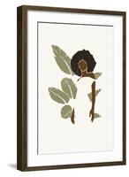 Boho Bird of Paradise Leaves I-Yuyu Pont-Framed Art Print