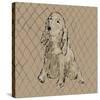 Boho Dogs II-Clare Ormerod-Stretched Canvas