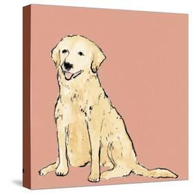 Boho Dogs IV-Clare Ormerod-Stretched Canvas