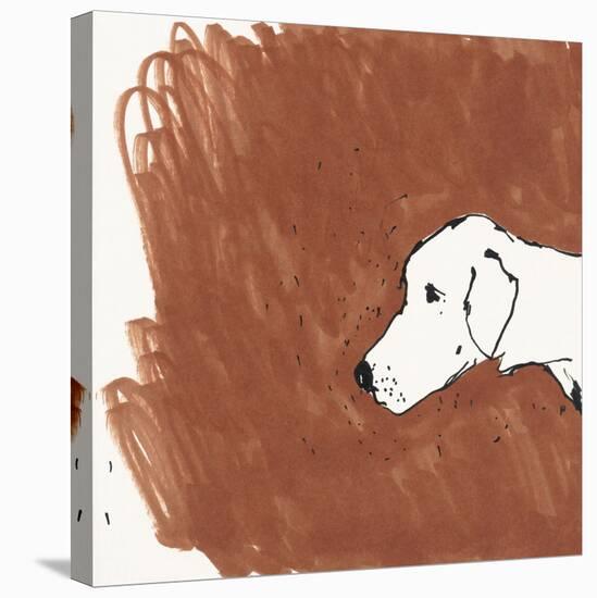 Boho Dogs VI-Clare Ormerod-Stretched Canvas