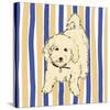 Boho Dogs VII-Clare Ormerod-Stretched Canvas