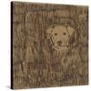 Boho Dogs VIII-Clare Ormerod-Stretched Canvas