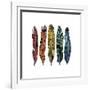 Boho Feathers-Sharon Turner-Framed Art Print