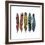 Boho Feathers-Sharon Turner-Framed Art Print