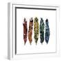 Boho Feathers-Sharon Turner-Framed Art Print