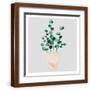 Brown Frame