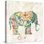 Boho Paisley Elephant I-Danhui Nai-Stretched Canvas