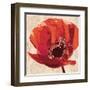 Boho Poppy-Bella Dos Santos-Framed Art Print