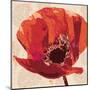 Boho Poppy-Bella Dos Santos-Mounted Art Print