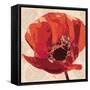 Boho Poppy-Bella Dos Santos-Framed Stretched Canvas