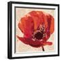 Boho Poppy-Bella Dos Santos-Framed Art Print