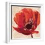 Boho Poppy-Bella Dos Santos-Framed Art Print