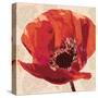 Boho Poppy-Bella Dos Santos-Stretched Canvas