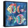 Boho Reef Fish II-Wild Apple Portfolio-Framed Stretched Canvas