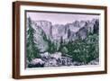 Brown Frame