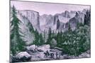 Wood Mount
