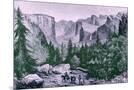 Wood Mount