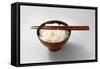 Boiled Basmati Rice in a Red Bowl with Chopsticks-Peter Rees-Framed Stretched Canvas