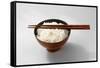 Boiled Basmati Rice in a Red Bowl with Chopsticks-Peter Rees-Framed Stretched Canvas