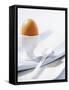 Boiled Egg in Egg Cup-Strehlau-Ferfers-Framed Stretched Canvas