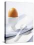 Boiled Egg in Egg Cup-Strehlau-Ferfers-Stretched Canvas