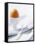 Boiled Egg in Egg Cup-Strehlau-Ferfers-Framed Stretched Canvas