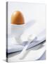 Boiled Egg in Egg Cup-Strehlau-Ferfers-Stretched Canvas