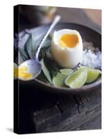 Boiled Egg with Lime, Salt, Pepper & Vietnamese Coriander-Maja Smend-Stretched Canvas