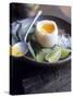 Boiled Egg with Lime, Salt, Pepper & Vietnamese Coriander-Maja Smend-Stretched Canvas