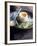 Boiled Egg with Lime, Salt, Pepper & Vietnamese Coriander-Maja Smend-Framed Photographic Print