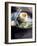 Boiled Egg with Lime, Salt, Pepper & Vietnamese Coriander-Maja Smend-Framed Photographic Print