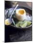 Boiled Egg with Lime, Salt, Pepper & Vietnamese Coriander-Maja Smend-Mounted Photographic Print