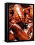 Boiled Lobsters-null-Framed Stretched Canvas