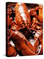 Boiled Lobsters-null-Stretched Canvas