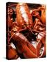 Boiled Lobsters-null-Stretched Canvas