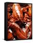 Boiled Lobsters-null-Framed Stretched Canvas