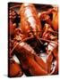 Boiled Lobsters-null-Stretched Canvas