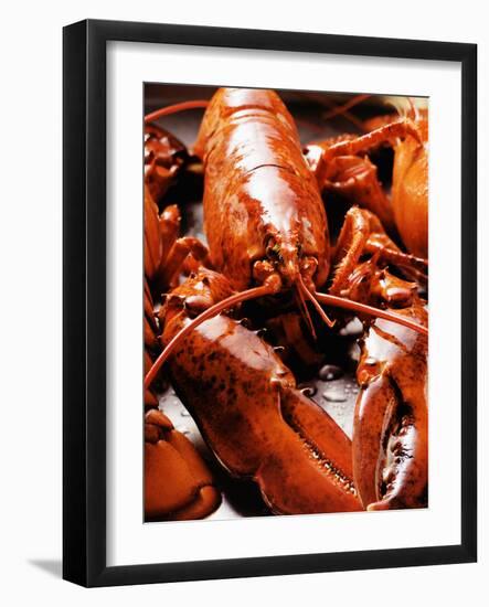 Boiled Lobsters-null-Framed Premium Photographic Print